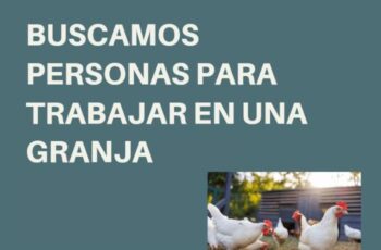 Buscamos personas para trabajar en granjas