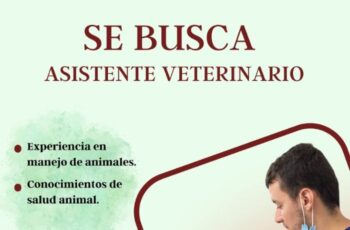 Centro Veterinario está buscando personal