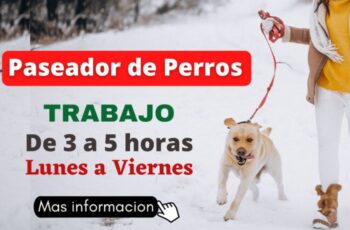 Estamos buscando paseadores de perros
