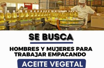 Se Busca personal en Fábricas de Aceite Vegetal