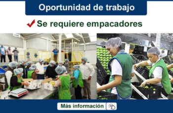 Se solicita personal para Bodega de Alimentos